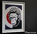 VBS_2343 - Mostra The World of Banksy - The Immersive Experience